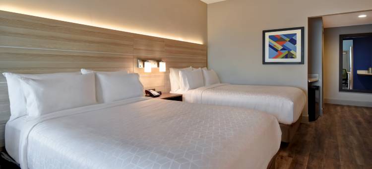 加尔维斯顿海滩智选假日套房酒店(Holiday Inn Express & Suites Galveston Beach)图片