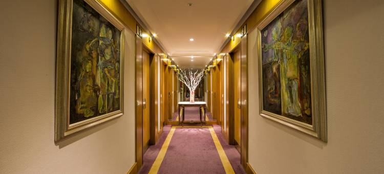 欧洲之星阿拉瓜尼住宿(Eurostars Araguaney)图片