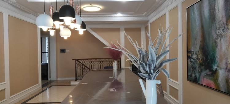 设计石度假别墅(辰花路1号分店)图片