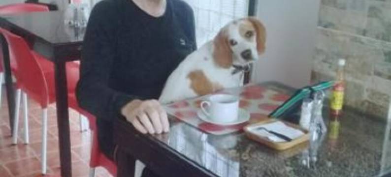 巴伊亚住宿加早餐旅馆(Bahia B&B)图片