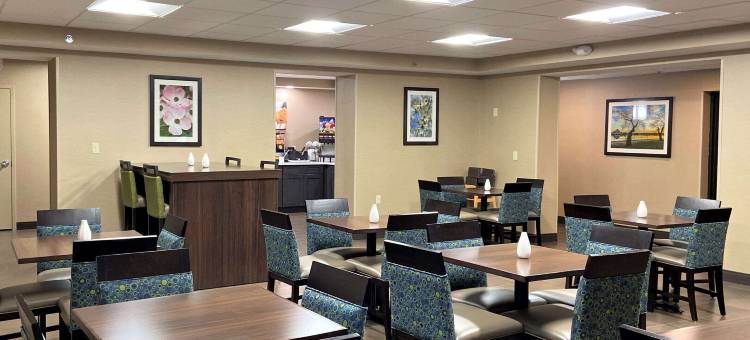 赫恩登 - 里斯顿舒适酒店(Comfort Inn Herndon-Reston)图片