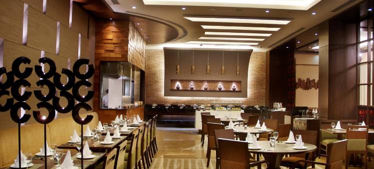 德里NCR金翅雀酒店(Goldfinch Hotel Delhi NCR)图片