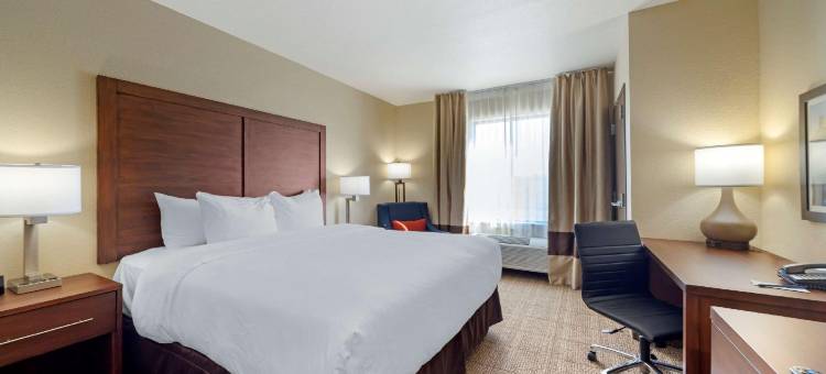 哈拉舒适套房酒店(Comfort Inn & Suites Harrah)图片