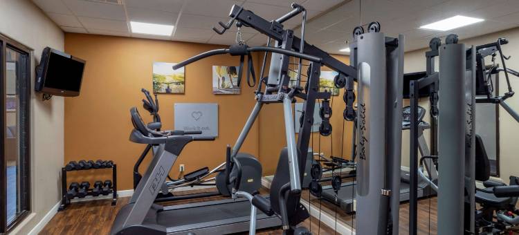 舒适套房酒店-近德克萨斯医学中心NRG体育场(Comfort Suites Near Texas Medical Center - NRG Stadium)图片