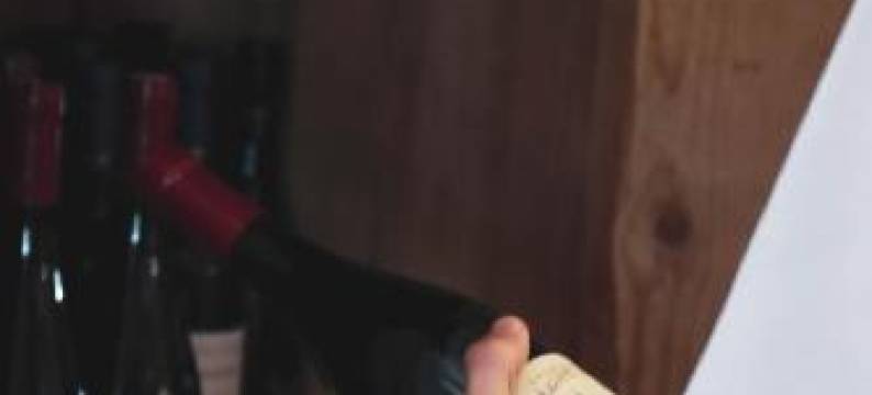 旺德精品酒店(Gasthof Wunder)图片