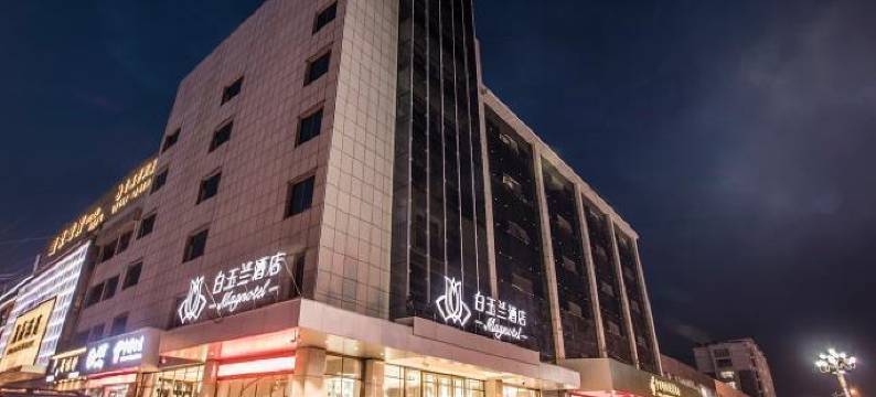 玉兰树下精选酒店图片