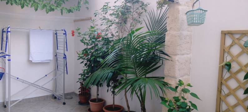 狄拉诺纳民宿(Casa Della Nonna Polignano a Mare)图片