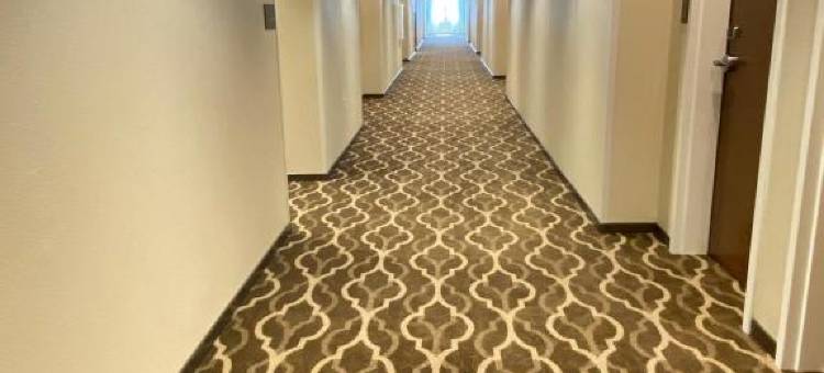 米德兰西舒适套房酒店(Comfort Suites Midland West)图片