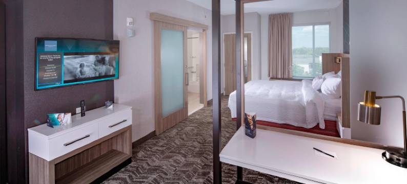 纽华克市区SpringHill Suites酒店(SpringHill Suites Newark Downtown)图片