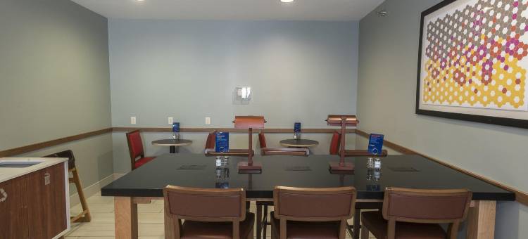 智选假日套房酒店铁山 by IHG(Holiday Inn Express & Suites Iron Mountain)图片