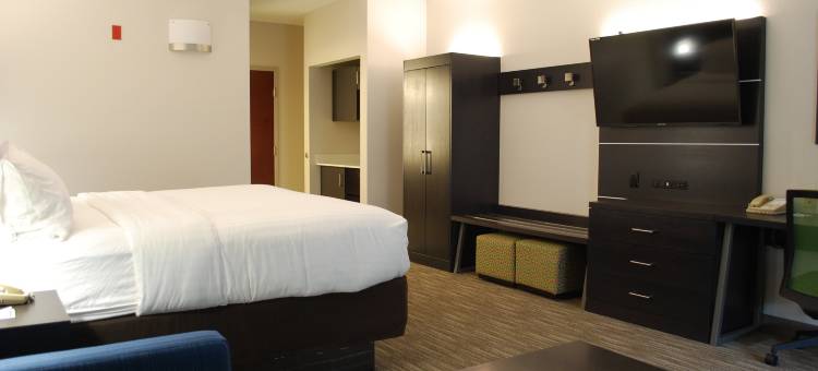 智选假日酒店及套房 金斯波特 by IHG(Holiday Inn Express & Suites Kingsport-Meadowview I-26)图片