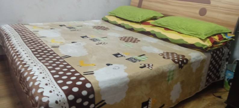 潮流特色民宿(泰安北路分店)图片