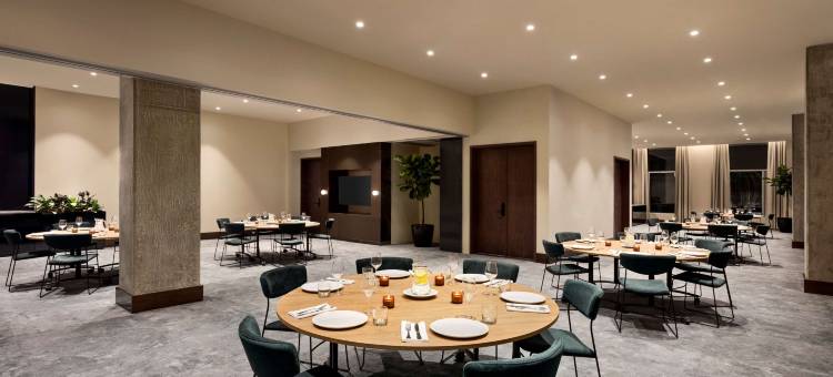 蒙特利尔凯悦尚萃酒店(Hyatt Centric Montreal)图片