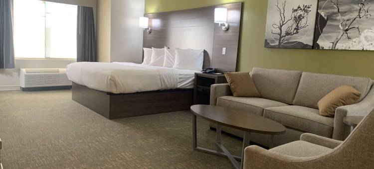 贝斯特韦斯特优质马头酒店及套房(Best Western Plus Horseheads Inn  Suites)图片