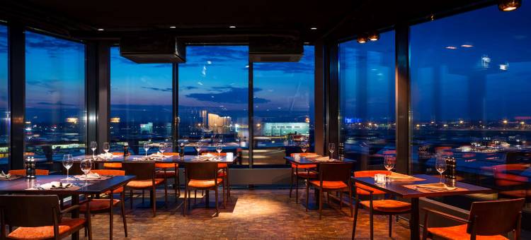 莫斯科谢列梅捷沃机场宇宙精选酒店(Cosmos Selection Moscow Sheremetyevo Airport Hotel, a Member of Radisson Individuals)图片