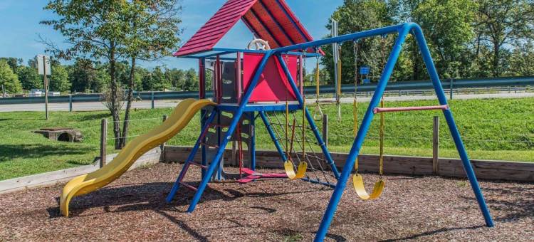 贝拉维农舒适酒店(Comfort Inn)图片