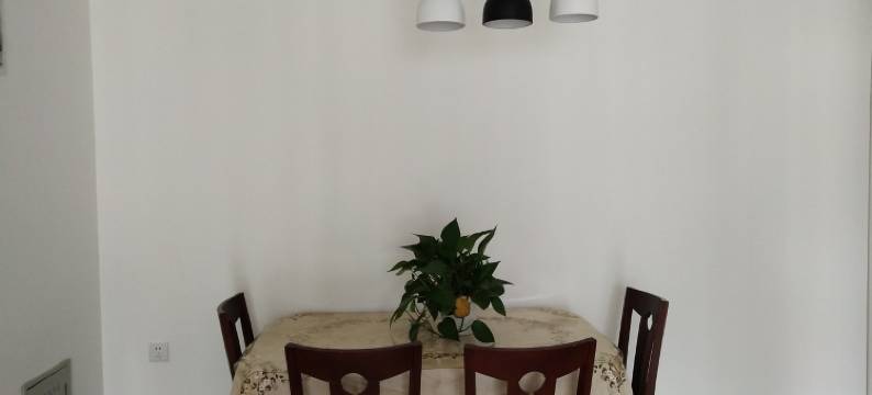 老李家旅酣居无接触民宿(黄山东路分店)图片