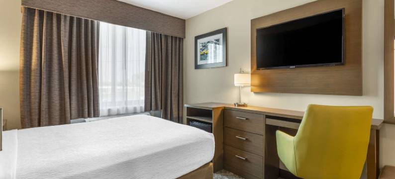 布鲁克林 - 康尼岛贝斯特韦斯特酒店(Best Western Brooklyn-Coney Island Inn)图片