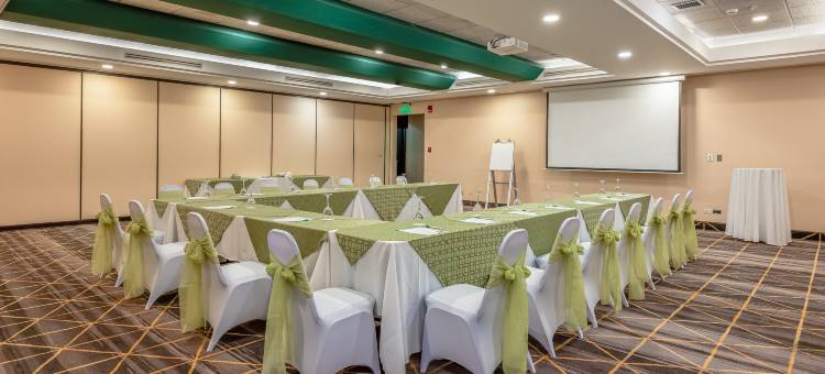 洲际圣何塞拉萨瓦纳假日酒店(Holiday Inn San Jose la Sabana)图片