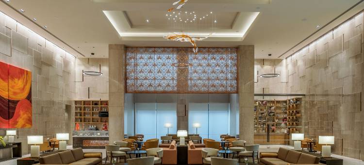 金奈羽毛拉达酒店(Feathers - A Radha Hotel Chennai)图片