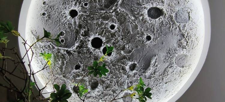 ygms9999公寓(麓林路分店)图片