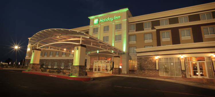 Holiday Inn 阿马里洛西部医疗中心(Holiday Inn Amarillo West Medical Center)图片
