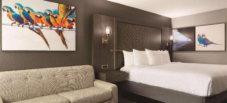 迈克艾伦机场丽笙酒店(Radisson Hotel McAllen Airport)图片