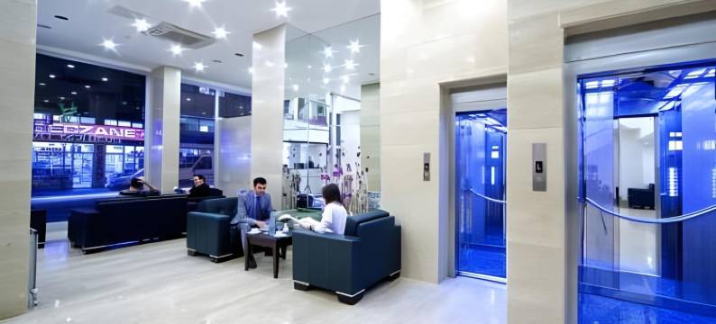 SV商务酒店(SV Business Hotel Diyarbakır)图片