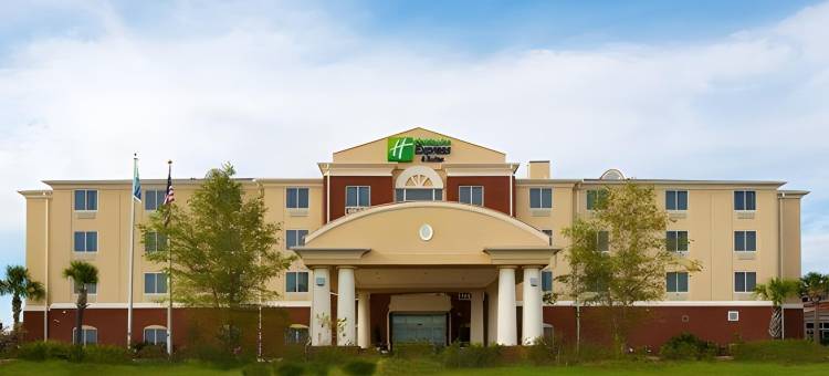 智选假日套房酒店莫尔特里(Holiday Inn Express & Suites Moultrie)图片