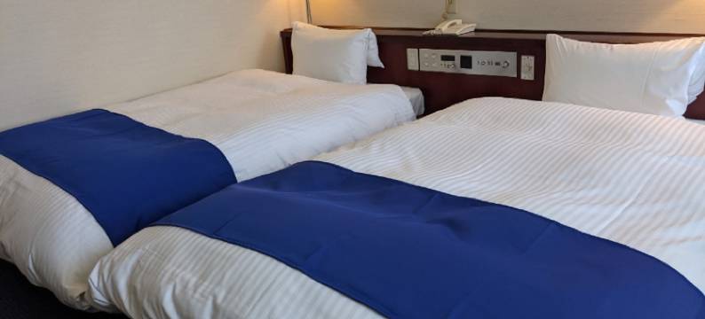 Ichinomiya City Hotel图片