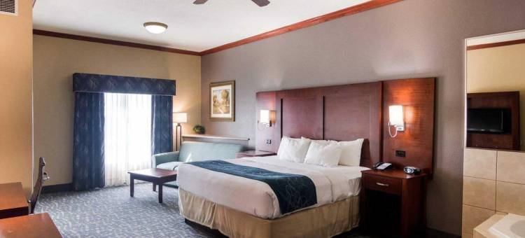舒适套房酒店-盖恩斯维尔(Comfort Suites Gainesville)图片