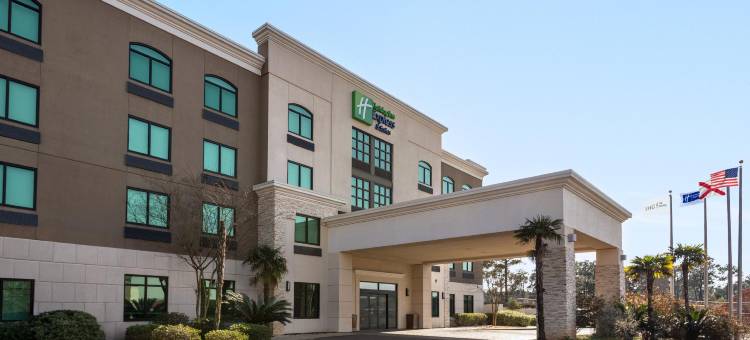 莫比尔西- I-10智选假日套房酒店(Holiday Inn Express & Suites MOBILE WEST - I-10 by IHG)图片