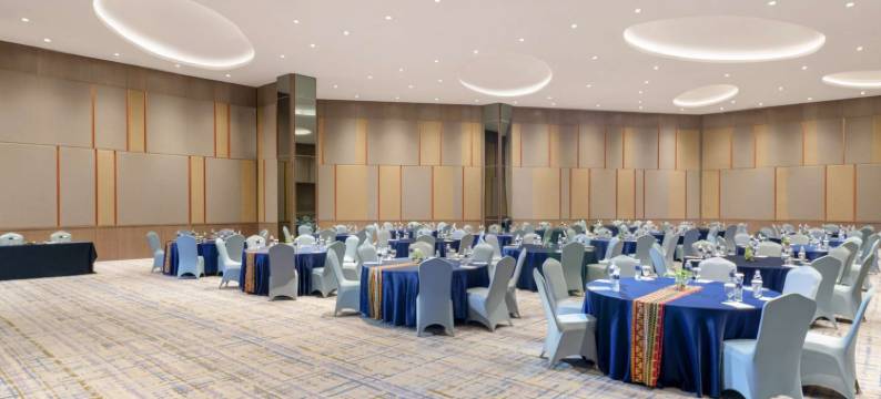 金色郁金香酒店春山-楠榜(Golden Tulip SpringHill Lampung)图片