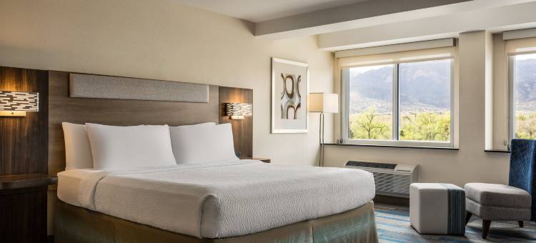 科罗拉多斯普林斯中心智选假日酒店及套房(Holiday Inn Express & Suites COLORADO SPRINGS CENTRAL by IHG)图片