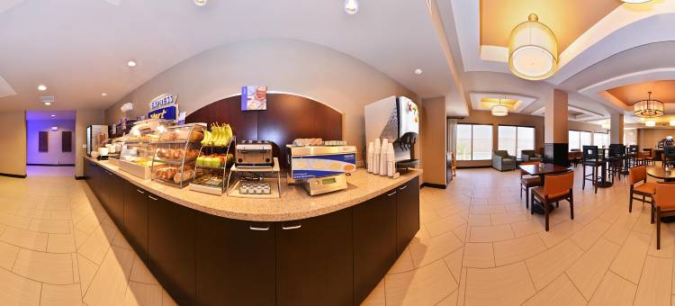 印第奥科切拉谷智选假日酒店(Holiday Inn Express & Suites Indio - Coachella Valley)图片