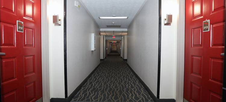 莱辛顿 - 汉堡红屋顶套房酒店(Red Roof Inn & Suites Lexington – Hamburg)图片