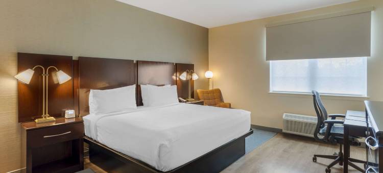 普鲁士独立国王酒店(Independent King of Prussia)图片