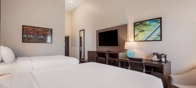 萨尔弗温德姆拉昆塔套房酒店(La Quinta Inn & Suites by Wyndham Sulphur (Lake Charles))图片