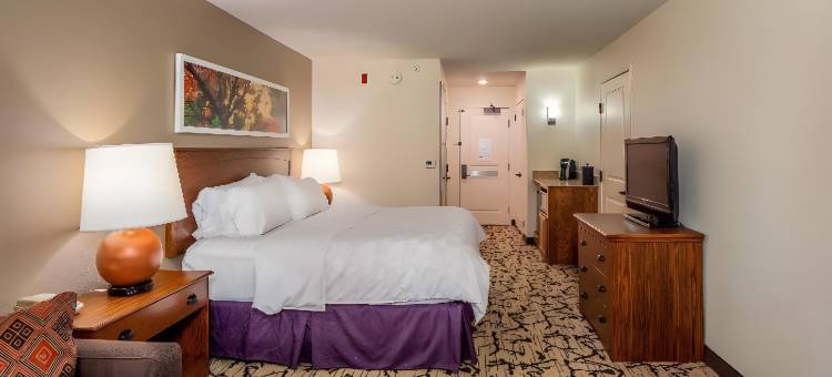 史蒂文斯角假日酒店 - 会议中心(Holiday Inn Stevens Point - Convention Ctr)图片