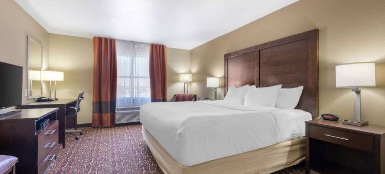 阿尔特西亚舒适酒店及套房(Comfort Inn &amp; Suites Artesia)图片