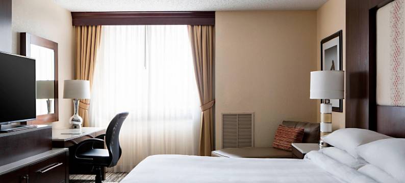 DFW机场南万豪酒店(Marriott DFW Airport South)图片