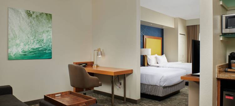 巴吞鲁日北/机场SpringHill Suites酒店(SpringHill Suites Baton Rouge North/Airport)图片