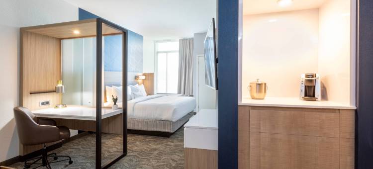 明尼阿波利斯枫林阿伯湖万豪SpringHill Suites酒店(SpringHill Suites Minneapolis Maple Grove/Arbor Lakes)图片