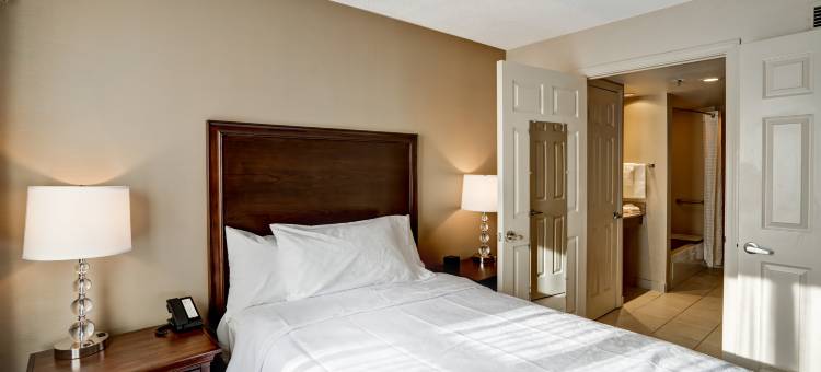 温莎洛克斯哈特福德Homewood Suites by Hilton(Homewood Suites by Hilton Windsor Locks Hartford)图片