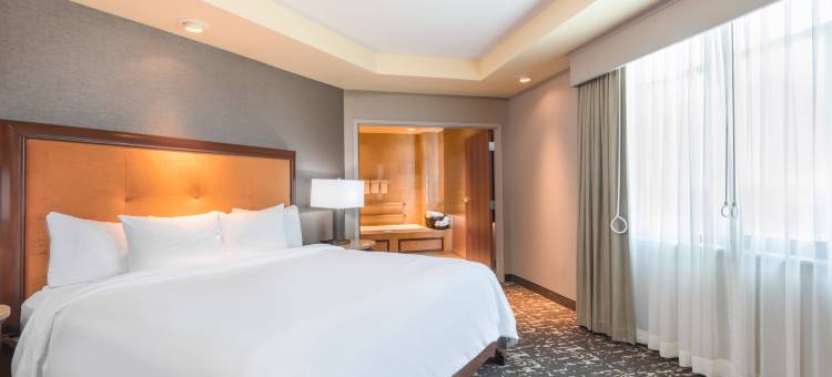 圣路易斯圣查尔斯希尔顿安泊酒店(Embassy Suites by Hilton St. Louis St. Charles)图片