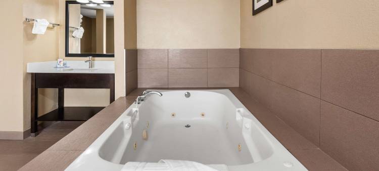 温馨酒店及套房温哥华市中心(Comfort Inn & Suites Vancouver Downtown City Center)图片