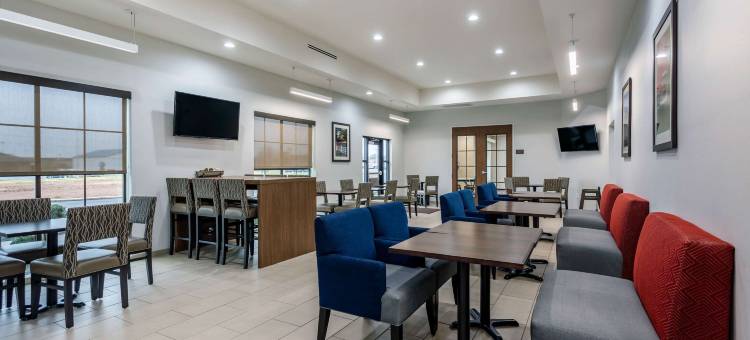 舒适套房酒店(Comfort Suites Bowling Green Southeast)图片