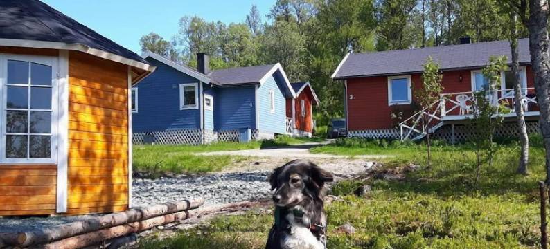 斯文斯比图森特尔假日公园(Svensby Tursenter)图片