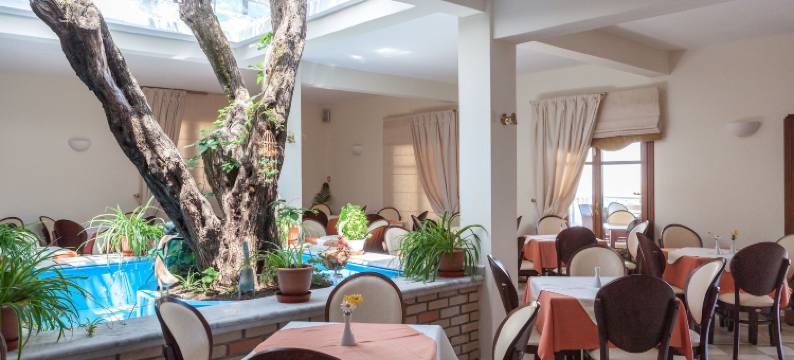 阿伊奥罗斯酒店(Aeolos Hotel)图片