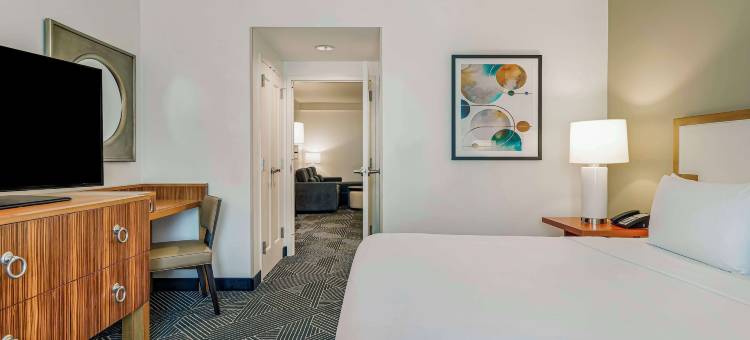 休斯顿市中心希尔顿安泊酒店(Embassy Suites by Hilton Houston Downtown)图片